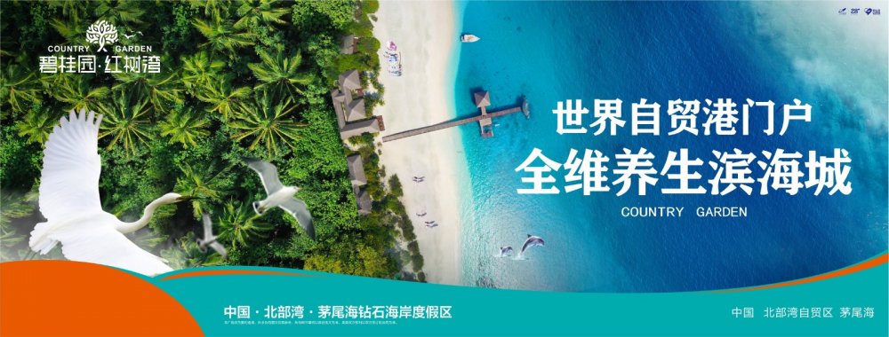 碧桂园红树湾效果图
